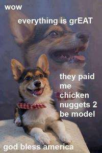 chicken nugget dog