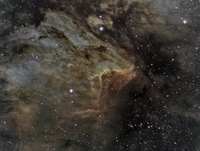 pelican nebula