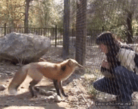 http://25.media.tumblr.com/e21ff1c8bf753dbce842ec5e0db2cb81/tumblr_mx7gkuu7v51s02vreo1_400.gif