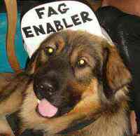 hipster puppies