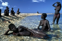 jarawa tribe