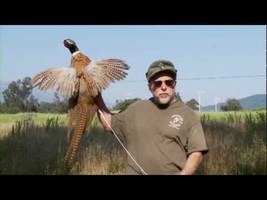 Official Ojai Valley Taxidermy TV Commercial - YouTube