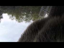 GoPro: Death by Grizzly Bear - YouTube