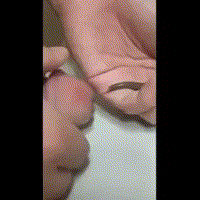 http://img.pr0gramm.com/2014/12/08/7050eb9d876a8473.webm