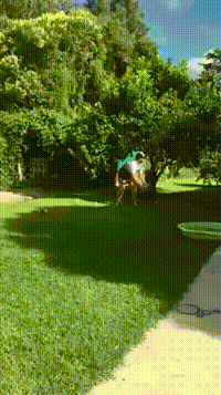 http://vid.pr0gramm.com/2017/03/16/830b3e6cca2a7612.mp4