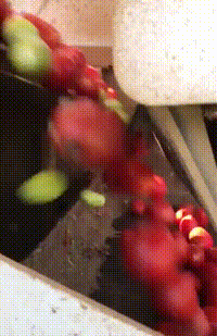 http://vid.pr0gramm.com/2017/08/27/dc9591177a67e667.mp4