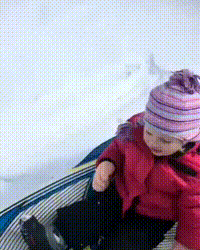 http://vid.pr0gramm.com/2018/02/23/b3628aa384b5cf9f.mp4