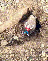 http://vid.pr0gramm.com/2018/05/01/9a4ab724e9dc0765.mp4