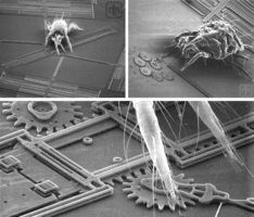 https://i.pinimg.com/736x/7b/03/2a/7b032a8e482b0875c82cf244c5197775--microelectromechanical-systems-weird-science.jpg