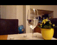 https://vid.pr0gramm.com/2019/02/17/13ea468aff935d69.mp4