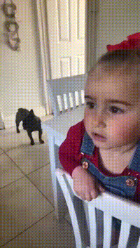 https://vid.pr0gramm.com/2018/12/11/0b93e4f5f8355f43.mp4
