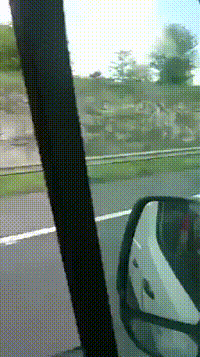 https://vid.pr0gramm.com/2019/05/18/6d19c66df4bb3c5f.mp4