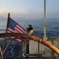 https://vid.pr0gramm.com/2019/05/26/63a7ae70c2916fdc.mp4
