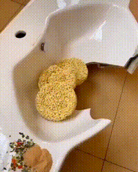 https://vid.pr0gramm.com/2019/05/24/995d86009f451680.mp4