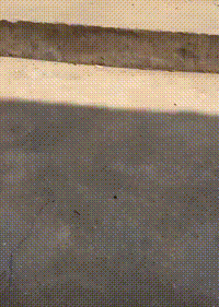 https://vid.pr0gramm.com/2019/06/13/1257f2693f4f3f7d.mp4
