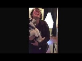 Talking husky puppy - YouTube