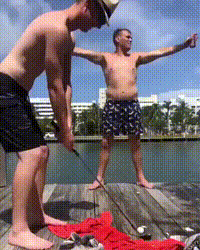 https://vid.pr0gramm.com/2019/07/14/d459d65d98ef86d6.mp4