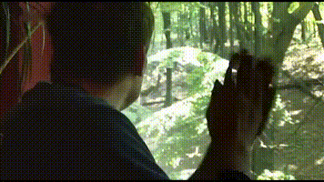 https://vid.pr0gramm.com/2019/07/31/4d54844f5dba80ef.mp4