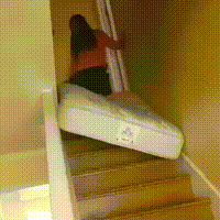 https://vid.pr0gramm.com/2018/11/15/6e7dd53fd5f1b774.mp4