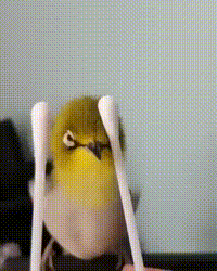 https://vid.pr0gramm.com/2019/09/02/b85e5922f7e22c5a.mp4