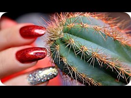 ASMR Sensitive Sounds for Sleep & Tingles 🌵(NO TALKING) Crisp, Crinkly, Crunchy, Relaxing & TINGLY ✨ - YouTube