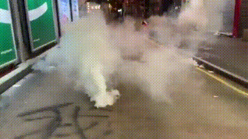 https://vid.pr0gramm.com/2019/07/29/ce05fdc76d6f2740.mp4