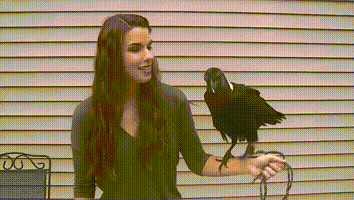 https://vid.pr0gramm.com/2016/09/25/f83c6849f0820c85.mp4