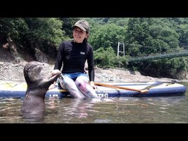 Camping with Instagrammer, Yoshimi Lynn and Omichan at Noro Lodge[Otter life Day 289]【カワウソアティとにゃん先輩】 - YouTube