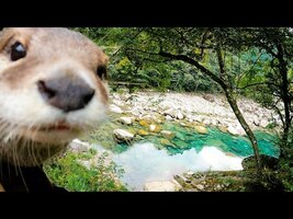 Explore Uotobikei, famous for its spectacular scenery of the valley! [Otter life day 358] - YouTube