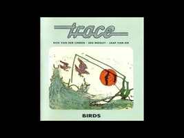 Trace ‎– Birds (1975) - YouTube