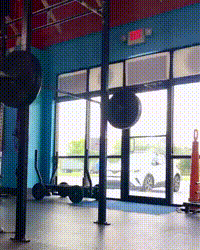 https://vid.pr0gramm.com/2021/07/23/b343743b288922d3.mp4