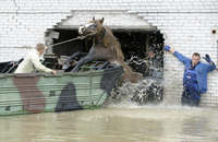 http://inapcache.boston.com/universal/site_graphics/blogs/bigpicture/euroflood_06_16/f04_23550861.jpg