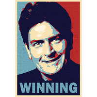 http://pix.posterrevolution.com/pr/4/642197m.jpg